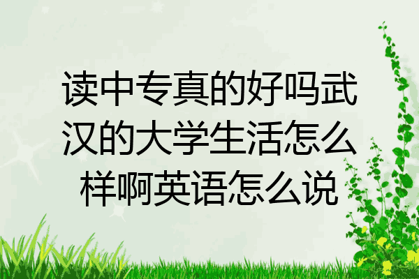 读中专真的好吗武汉的大学生活怎么样啊英语怎么说