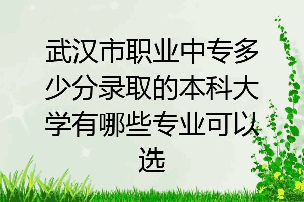 武汉市职业中专多少分录取的本科大学有哪些专业可以选