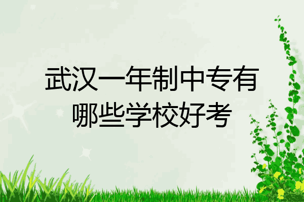 武汉一年制中专有哪些学校好考