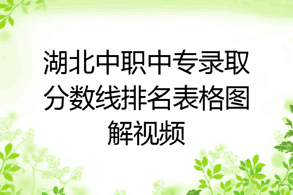 湖北中职中专录取分数线排名表格图解视频