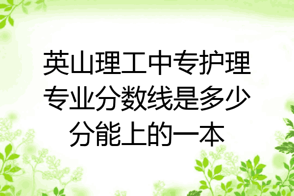 英山理工中专护理专业分数线是多少分能上的一本