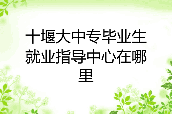 十堰大中专毕业生就业指导中心在哪里