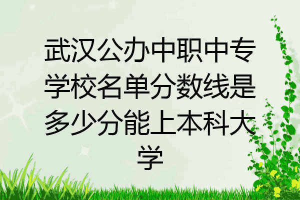 武汉公办中职中专学校名单分数线是多少分能上本科大学