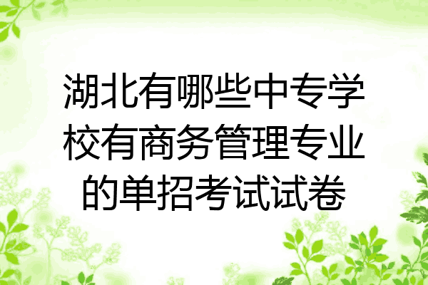 湖北有哪些中专学校有商务管理专业的单招考试试卷