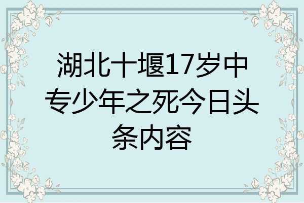 湖北十堰17岁中专少年之死今日头条内容