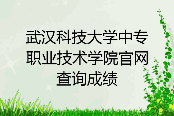 武汉科技大学中专职业技术学院官网查询成绩