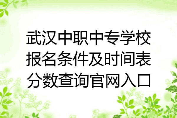 武汉中职中专学校报名条件及时间表分数查询官网入口