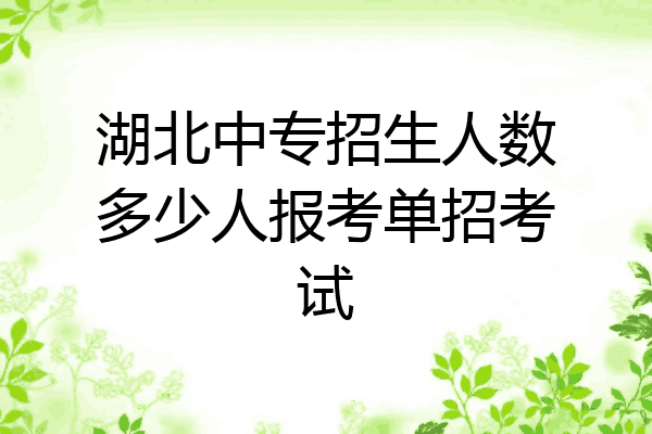 湖北中专招生人数多少人报考单招考试