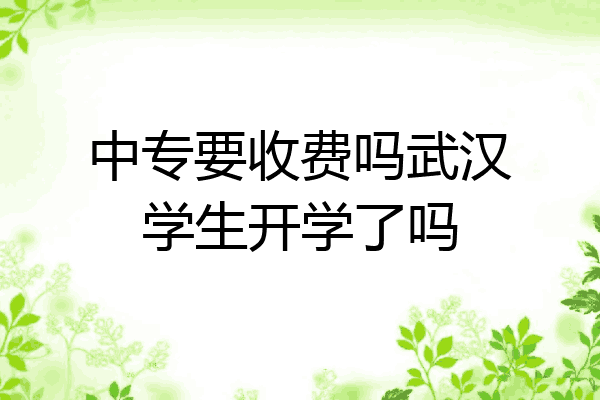 中专要收费吗武汉学生开学了吗