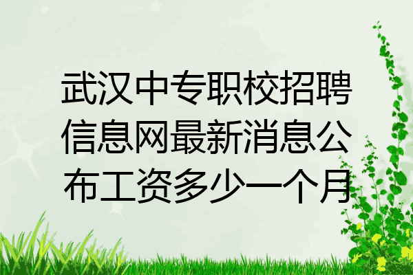 武汉中专职校招聘信息网最新消息公布工资多少一个月