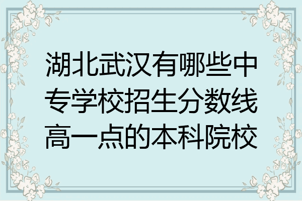 湖北武汉有哪些中专学校招生分数线高一点的本科院校