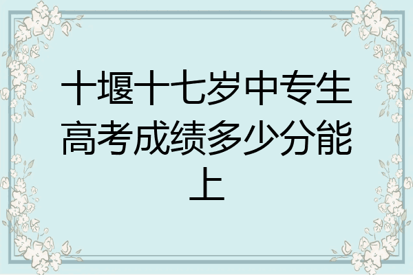 十堰十七岁中专生高考成绩多少分能上