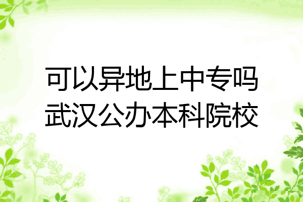 可以异地上中专吗武汉公办本科院校