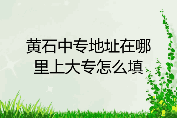 黄石中专地址在哪里上大专怎么填