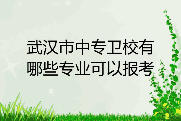 武汉市中专卫校有哪些专业可以报考