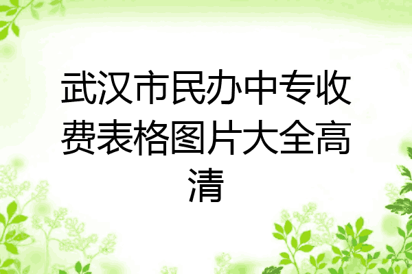 武汉市民办中专收费表格图片大全高清