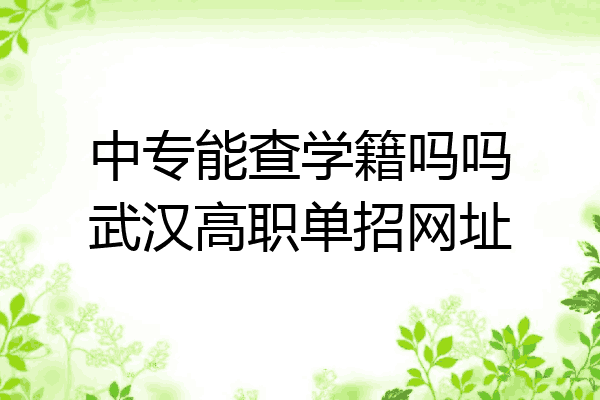 中专能查学籍吗吗武汉高职单招网址