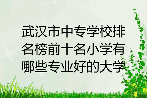 武汉市中专学校排名榜前十名小学有哪些专业好的大学