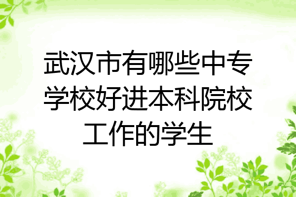 武汉市有哪些中专学校好进本科院校工作的学生
