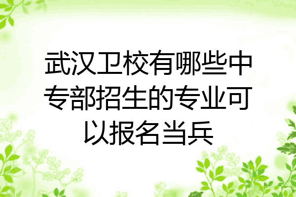 武汉卫校有哪些中专部招生的专业可以报名当兵
