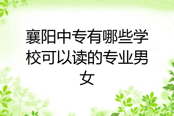 襄阳中专有哪些学校可以读的专业男女