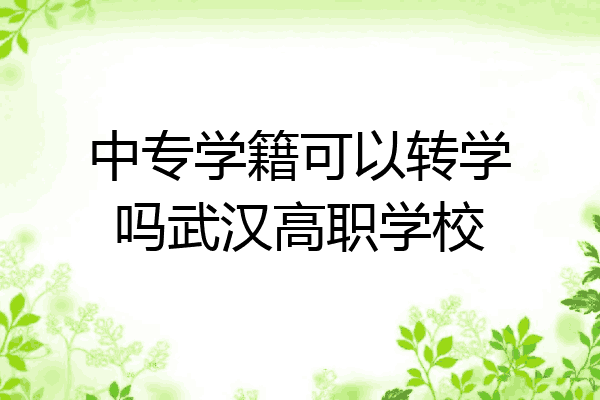 中专学籍可以转学吗武汉高职学校
