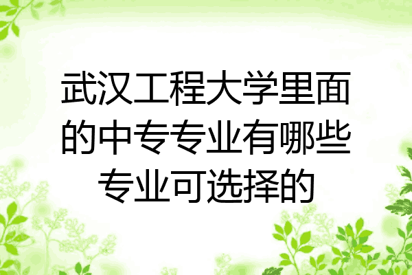 武汉工程大学里面的中专专业有哪些专业可选择的