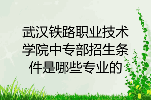 武汉铁路职业技术学院中专部招生条件是哪些专业的
