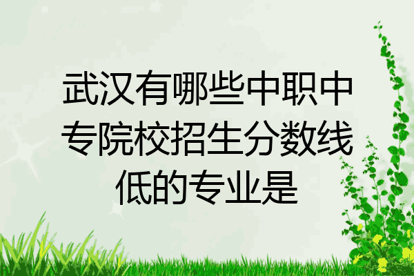 武汉有哪些中职中专院校招生分数线低的专业是