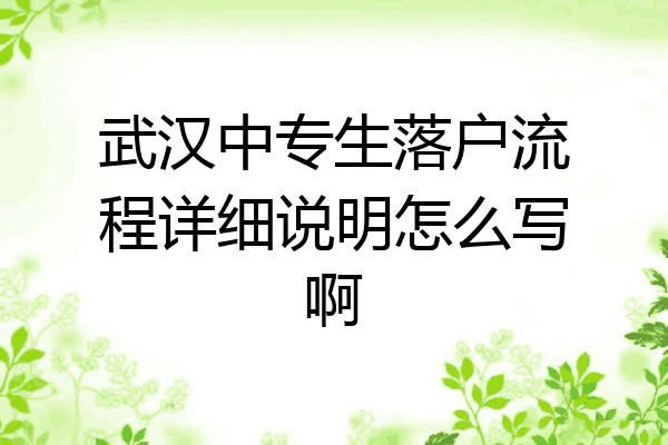 武汉中专生落户流程详细说明怎么写啊