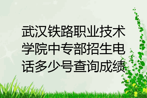 武汉铁路职业技术学院中专部招生电话多少号查询成绩