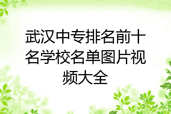 武汉中专排名前十名学校名单图片视频大全