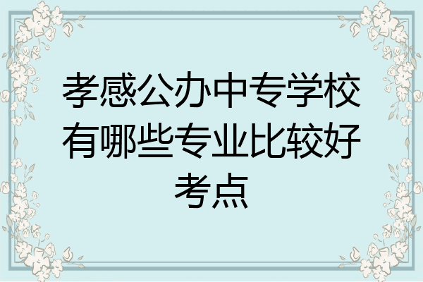 孝感公办中专学校有哪些专业比较好考点