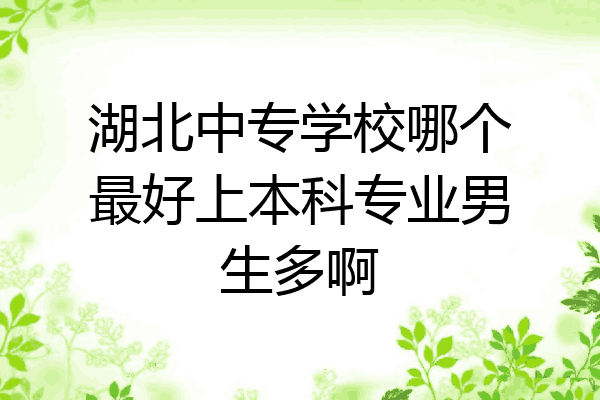 湖北中专学校哪个最好上本科专业男生多啊