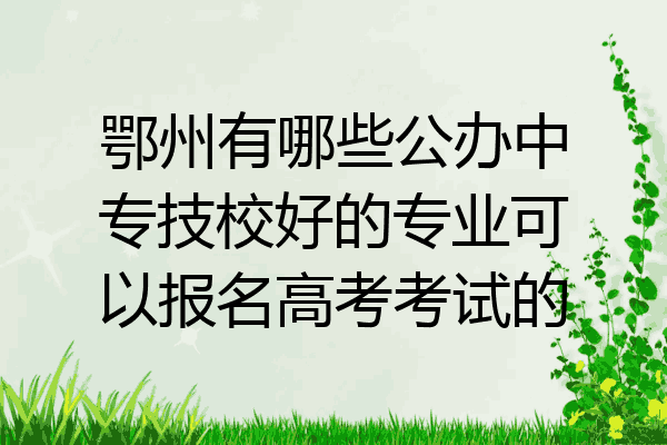 鄂州有哪些公办中专技校好的专业可以报名高考考试的
