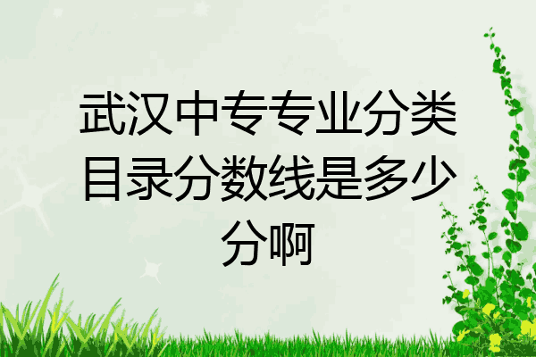 武汉中专专业分类目录分数线是多少分啊