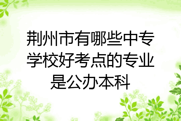 荆州市有哪些中专学校好考点的专业是公办本科