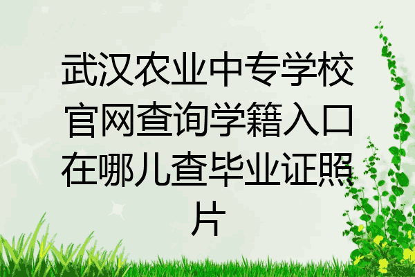 武汉农业中专学校官网查询学籍入口在哪儿查毕业证照片