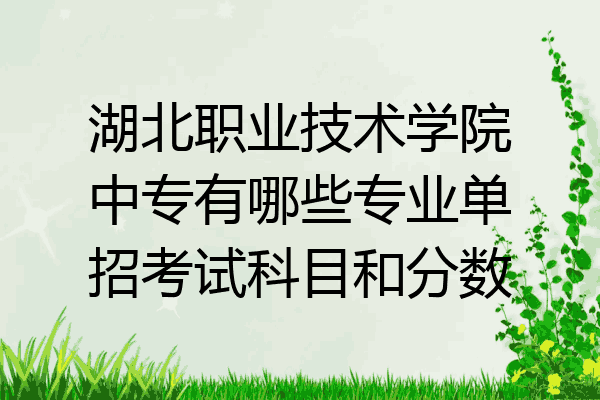 湖北职业技术学院中专有哪些专业单招考试科目和分数