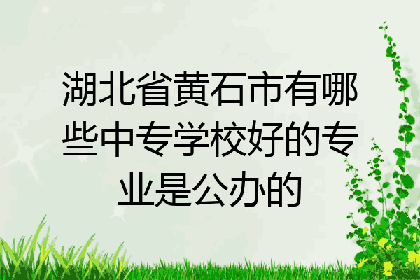 湖北省黄石市有哪些中专学校好的专业是公办的