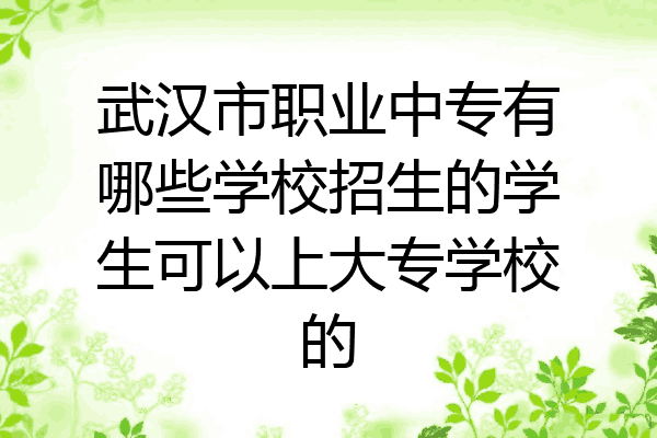 武汉市职业中专有哪些学校招生的学生可以上大专学校的