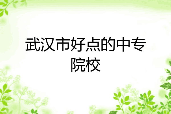 武汉市好点的中专院校
