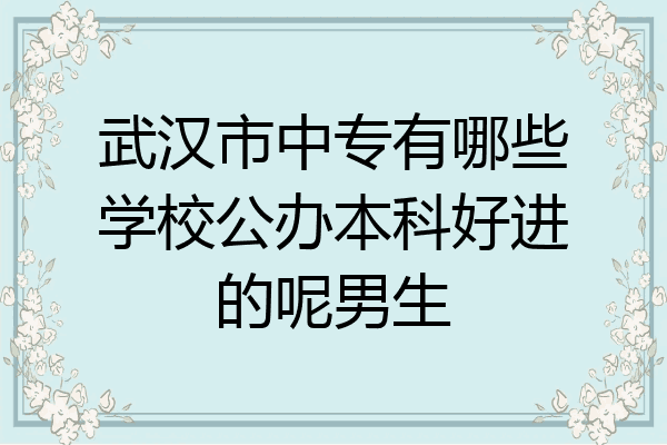 武汉市中专有哪些学校公办本科好进的呢男生