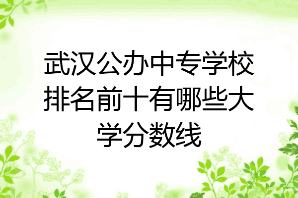 武汉公办中专学校排名前十有哪些大学分数线