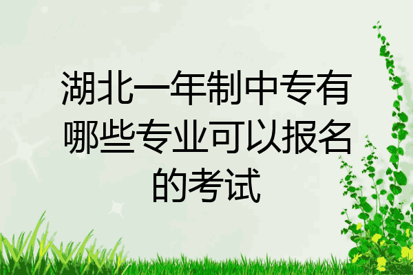 湖北一年制中专有哪些专业可以报名的考试