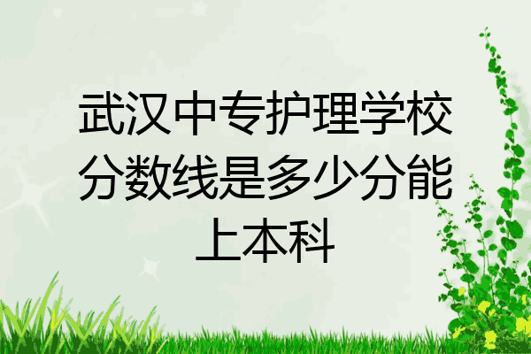武汉中专护理学校分数线是多少分能上本科