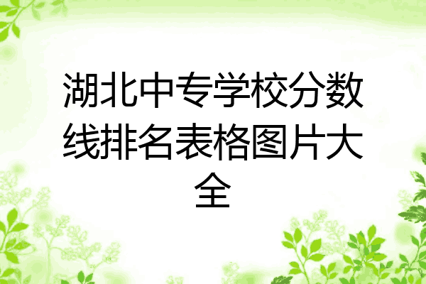 湖北中专学校分数线排名表格图片大全