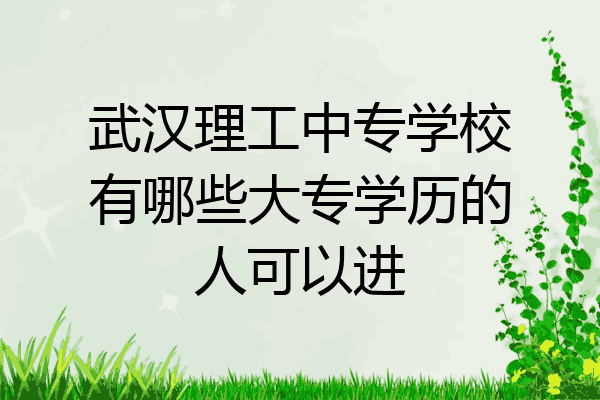 武汉理工中专学校有哪些大专学历的人可以进