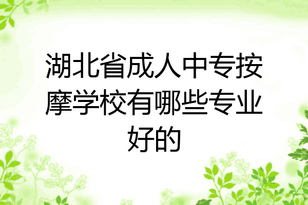 湖北省成人中专按摩学校有哪些专业好的