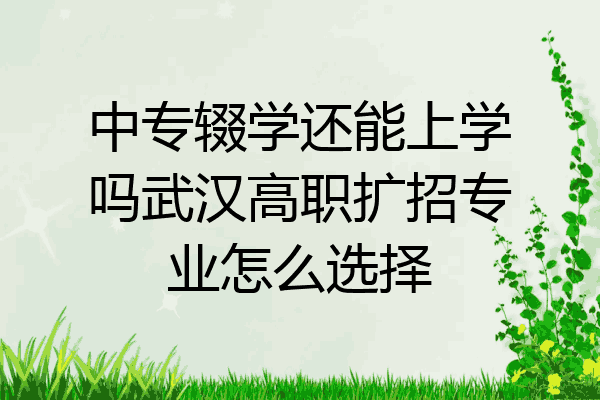 中专辍学还能上学吗武汉高职扩招专业怎么选择